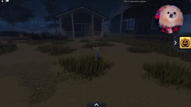 КОТЫ ВОИТЕЛИ В РОБЛОКС ! Я СТАЛА КОТИКОМ В РОБЛОКС ! Warrior Cats: Ultimate Edition смотреть онлайн