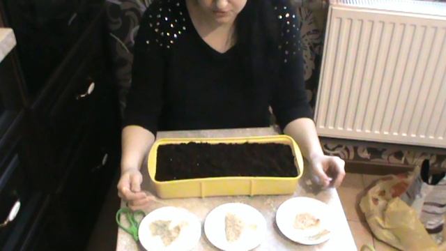 Посадка перца на рассаду / Sowing pepper seeds смотреть онлайн