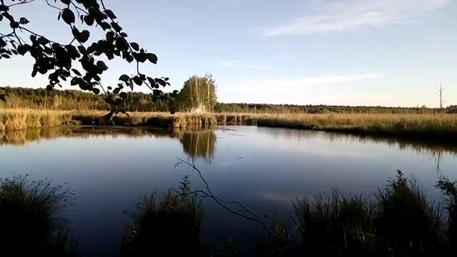 Лосиный остров: два озера смотреть онлайн