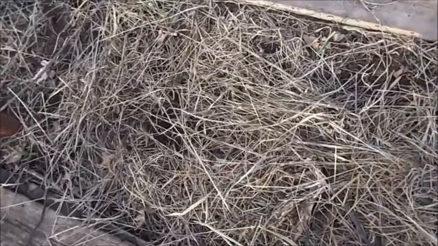 Что надо сделать рано весной в саду смотреть онлайн