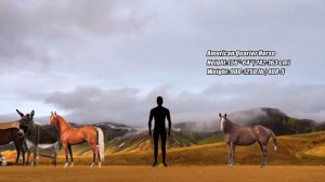 Ungulates size comparison in 2022 | Odd-Toed Ungulates size comparison in 2022 | Ungulates sounds