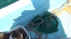 Рыбалка на камбалу. ловля камбалы. рыбалка в приморье. жизнь в Приморье. снасть на камбалу