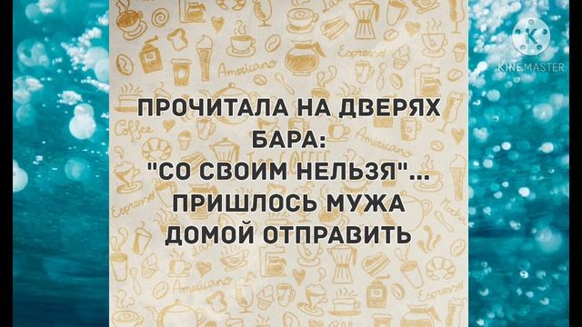 - От меня ушла жена... Прикольные анекдоты дня! смотреть онлайн