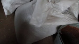 Сезонное содержание кроликов на даче