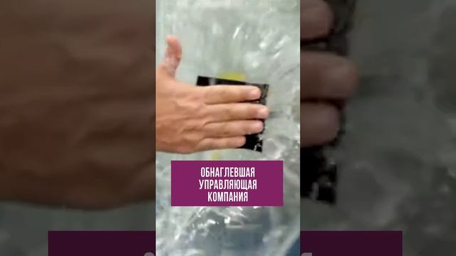 Ох уж эти обнаглевшие УК #rosco #приколы #юмор смотреть онлайн