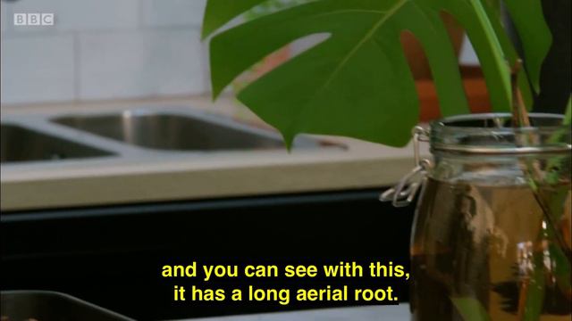 Gardener’s World Episode 12 - 04-06-2021