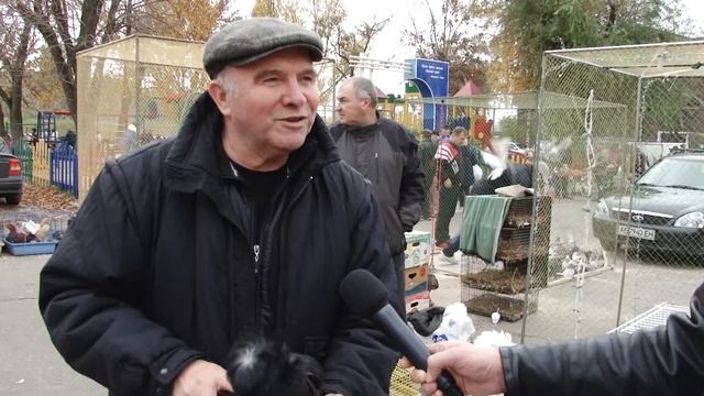 Виставка голубів смотреть онлайн