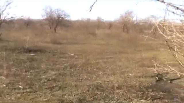 охота с псп смотреть онлайн