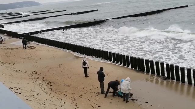 Посмотрим Светлогорск. Зима 2022. смотреть онлайн