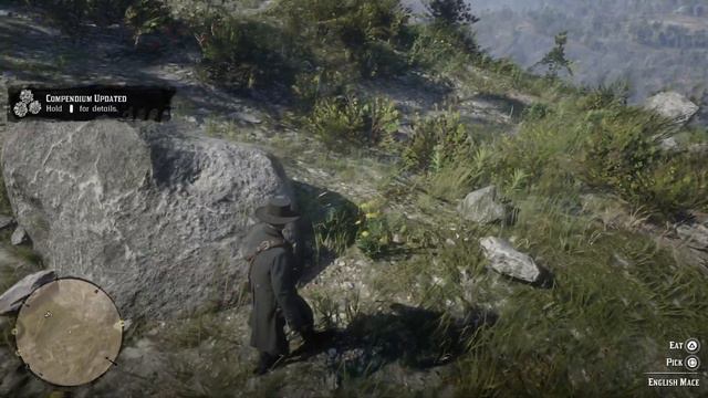 Red Dead Redemption 2 English mace location used to craft special health cure смотреть онлайн