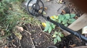 Обзор металлоискателя MD 5090