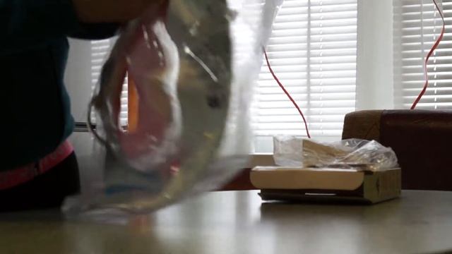 Круг на шею для детей фирмы Roxy Kids "Балерина" смотреть онлайн