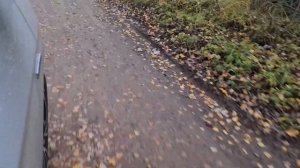 Honda freed на плохой дороге. Хватит ли клиренса???