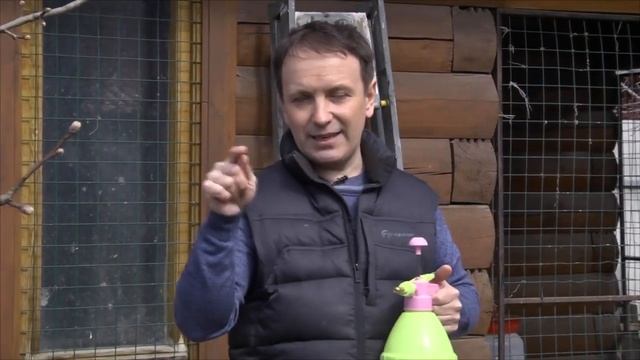 ДАЧА смотреть онлайн