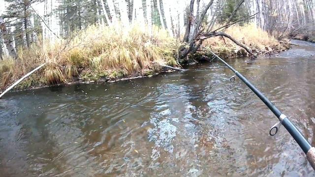 Рыбалка на хариуса в конце сентября, тайга, снег.. смотреть онлайн