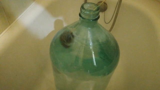 как помыть бутыль 20 литровый и банку 10 литров