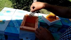 Мои нуклеусы из ППС(пеноплекса) отработали два  сезона.
