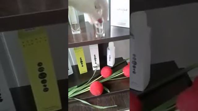 Какую продукцию предлагает компания Essens смотреть онлайн
