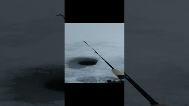 зимняя рыбалка 6 Поклевка