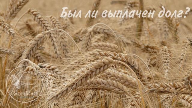 Был ли выплачен долг? смотреть онлайн