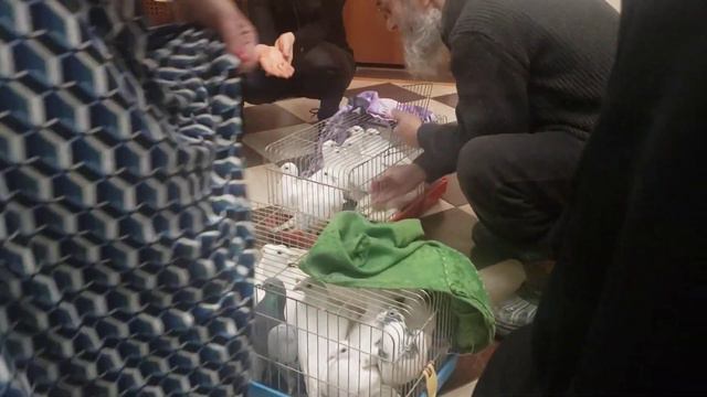 Юбилей Наталии Ининой в РПУ Иоанна Богослова (с голубями) смотреть онлайн