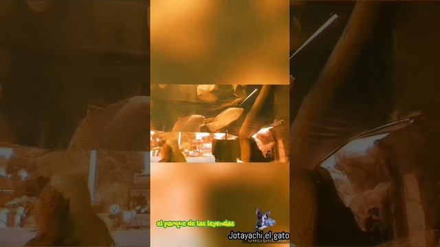 Jotayachi y su amor de Venezuela visitando el zoológico en lima_peru' смотреть онлайн