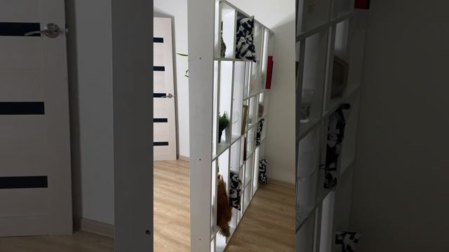 Стеллаж-перегородка для зонирования комнаты смотреть онлайн