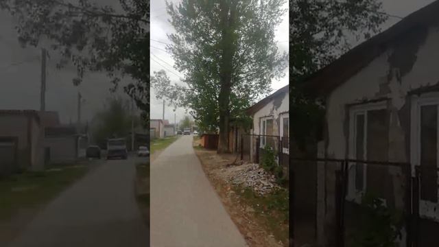 Как администрация Индустриального района г. Барнаула реагирует на просьбы и письма граждан своего р смотреть онлайн