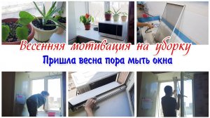 Весенняя мотивация на уборку  квартиры Мою окно на кухне