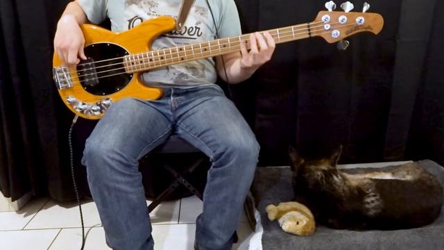 Incubus - Drive (Bass Cover) - Tabs in description смотреть онлайн