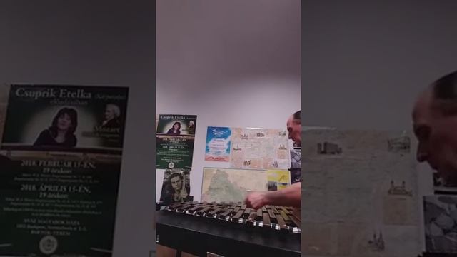 Stepan Donets - Rzaev Gasan Gusejn ogli "Concertino". смотреть онлайн