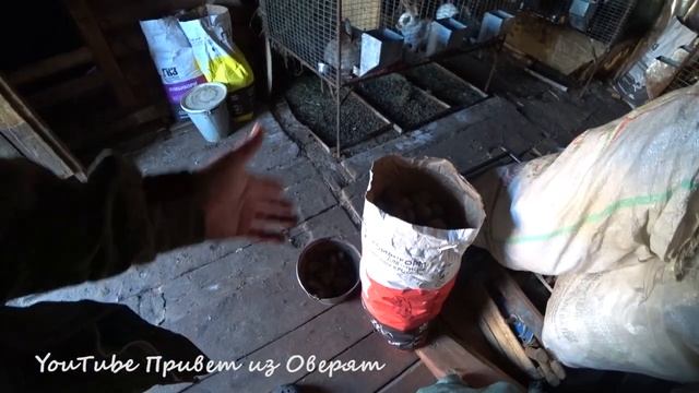 Про индюков! Чем кормить? Как поднимать? смотреть онлайн