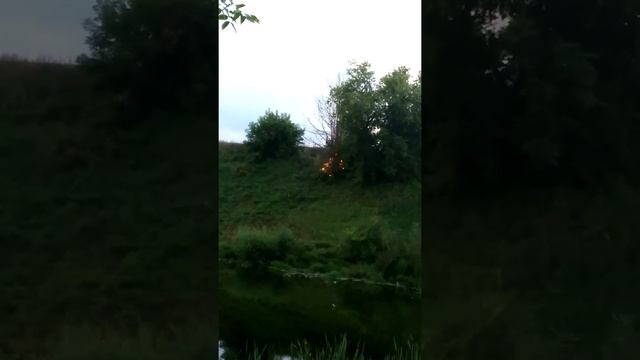 Горящее дерево смотреть онлайн
