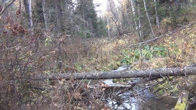 За щукой по утру! Рыбалка с лодки в сентябре! смотреть онлайн