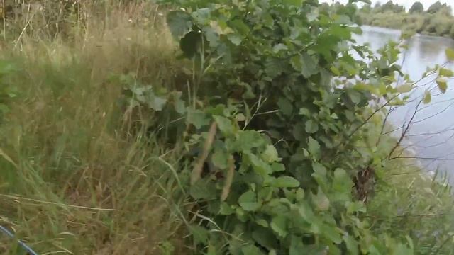 Поход на лодке по Березине смотреть онлайн