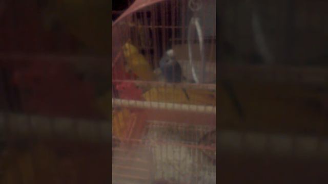 Ничего себе нас уже 48 спасибо вам всем*:-):-) моя мама маленькая и её родители фото детское смотреть онлайн