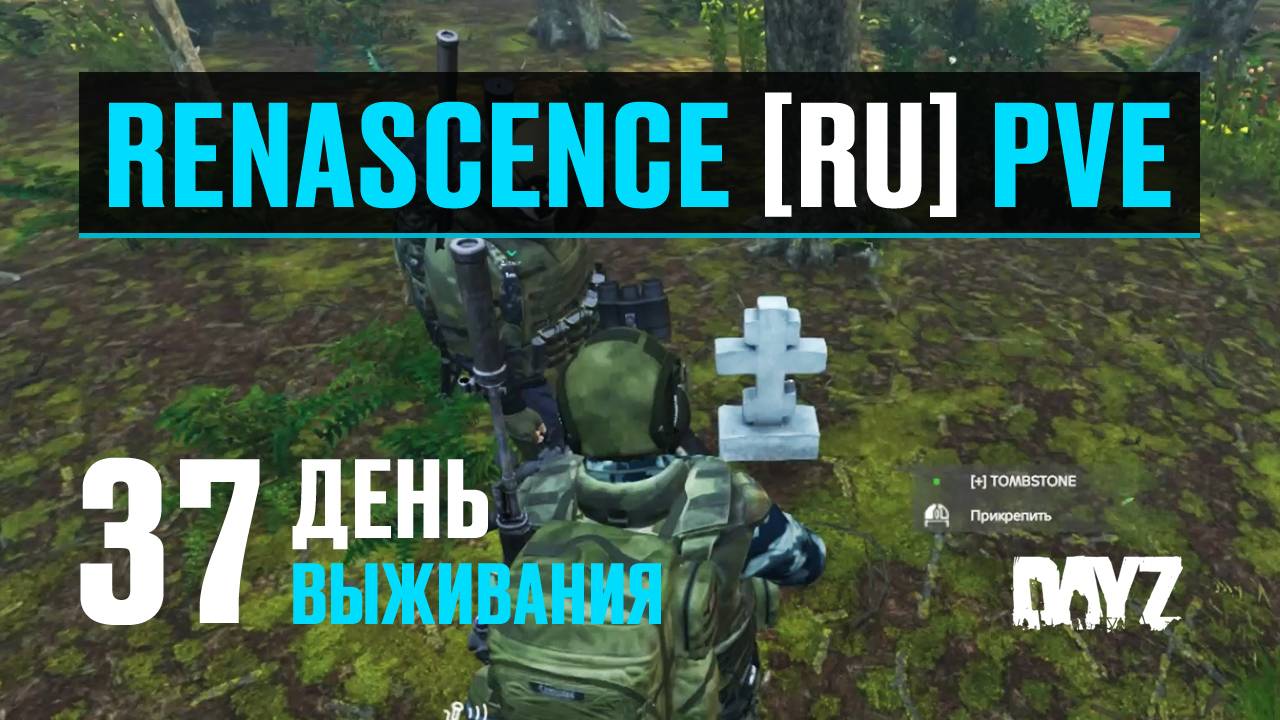 DayZ. RENASCENCE [RU] PVE. 37 день выживания. Куриный квест. Спасение выжившего. Экстренная посадка. смотреть онлайн