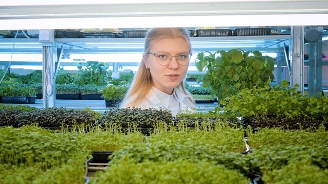 Ролик для Сити фермы смотреть онлайн