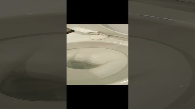 я смыл скибиди туалет смотреть онлайн