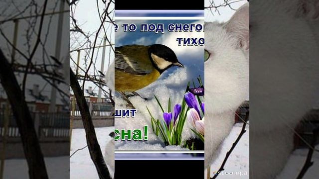 Slideshow__294_20230303_1vuRxr.mp4