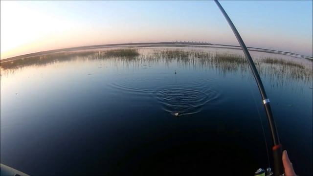 Ловля Краснопёрки на поплавочную снасть на  Финском заливе. Май 2019.