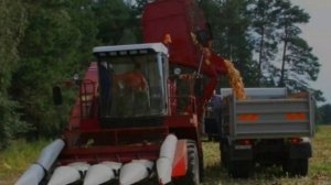 Комбайн для уборки кукурузы производства Гомельского завода.