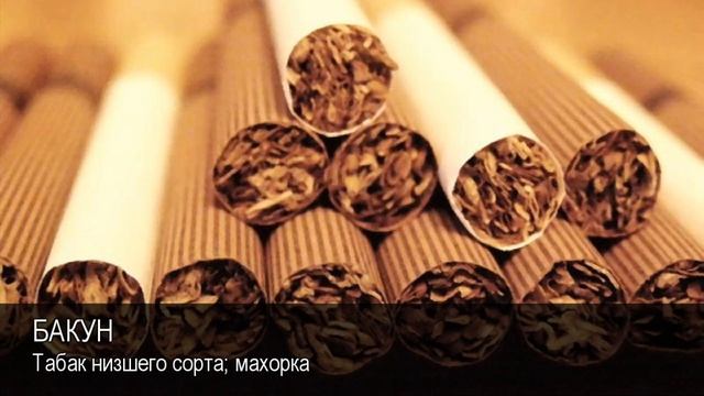 Бакун. Толковый Видеословарь русского языка смотреть онлайн