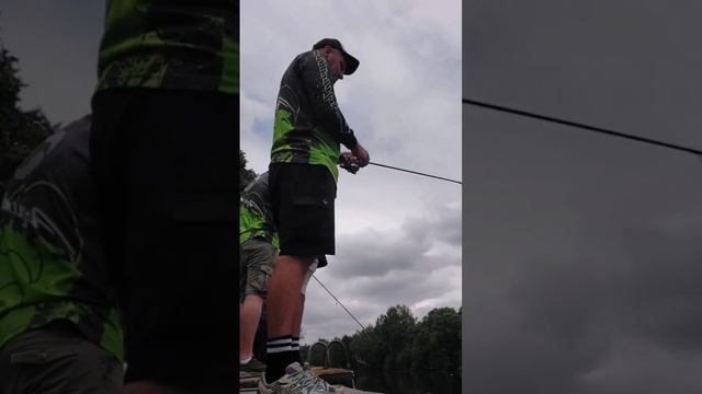 С днём рыбака! #shorts #рыбалка #fishing #окунь #спиннинг #щука #ловлящуки #отдых #summer #лето #мы смотреть онлайн