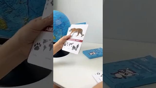 Развивающие карточки для детей Дикие животные России учим животных смотреть онлайн