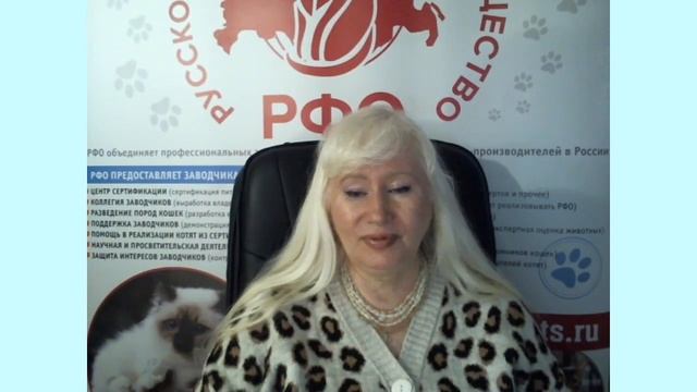 Финал 6-й Выставки кошек on-line эко-системы РФО. смотреть онлайн