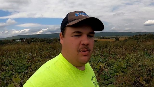 THE SIDE OF VEGETABLE FARMING YOU NEVER SEE смотреть онлайн