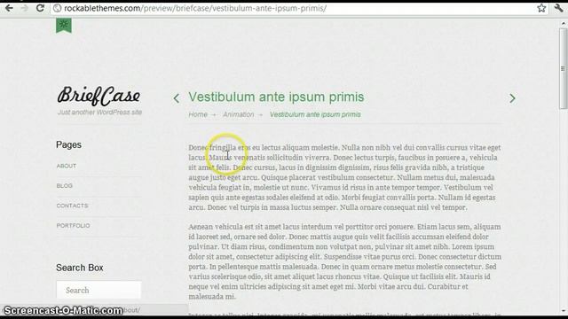 Review: Briefcase, a free premium WordPress portfolio theme смотреть онлайн