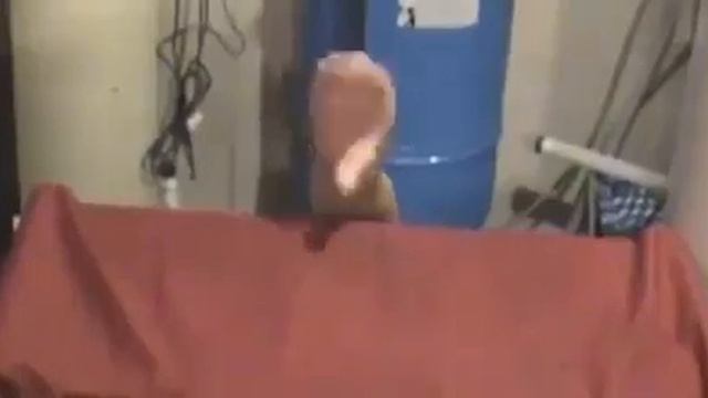 bOBBEY смотреть онлайн