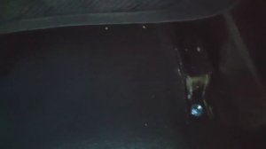 Lexus RX 350 замена сидения Lexus RX 350 Change seat